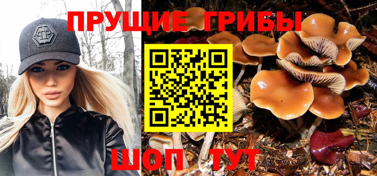 где можно купить   Псилоцибиновые грибы Psilocybine cubensis  Псилоцибиновые грибы ЛСД  Вход с VPN  Севастополь 